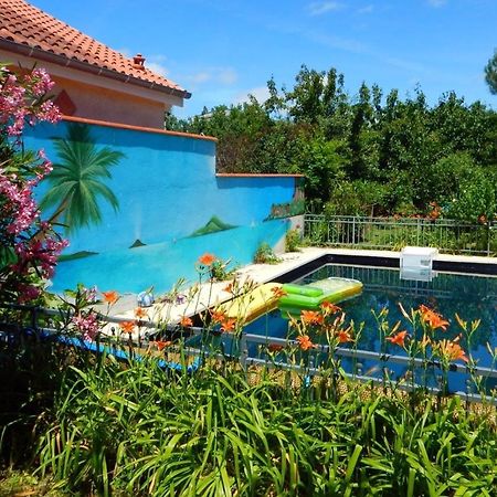 2 Chambres Et Salle De Bain Un Oasis De Bien Etre Piscine Et Jardin Direct Gare Aeroport Тулуза Экстерьер фото