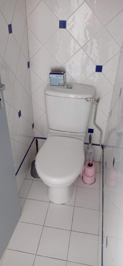 2 Chambres Et Salle De Bain Un Oasis De Bien Etre Piscine Et Jardin Direct Gare Aeroport Тулуза Экстерьер фото