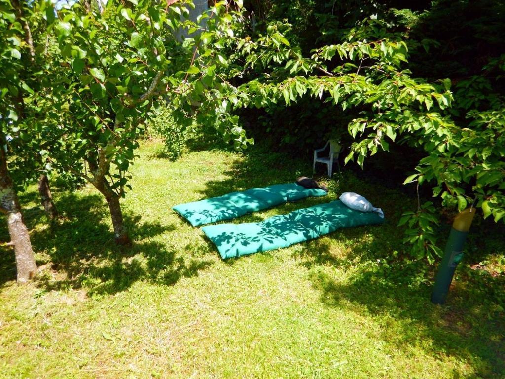 2 Chambres Et Salle De Bain Un Oasis De Bien Etre Piscine Et Jardin Direct Gare Aeroport Тулуза Экстерьер фото